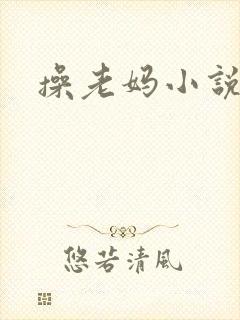操老妈小说