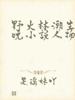 野火林潮生林晚晚小说人物野火