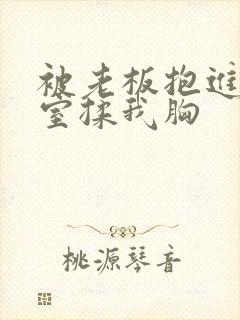 被老板抱进办公室揉我胸