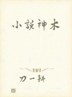 小说神木