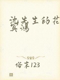 沈先生的花式调冥鸿