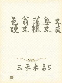 色翁荡息又大又硬又粗又爽小莹