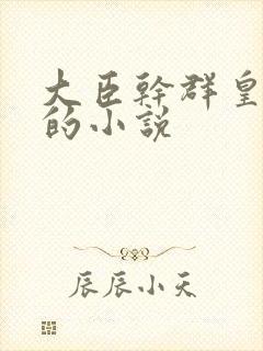 大臣干群皇太后的小说