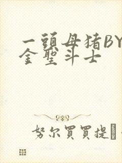 一头母猪BY黄金圣斗士