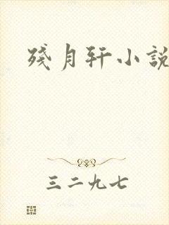 残月轩小说网
