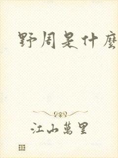 野周是什么意思