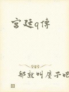 宫廷q传
