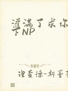 灌满了求你们停下NP