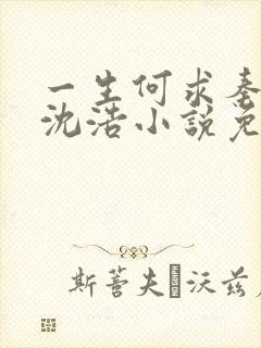 一生何求秦菲雪沈浩小说免费阅读全文