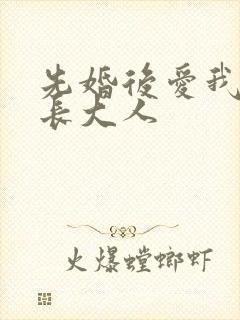 先婚后爱我的市长大人