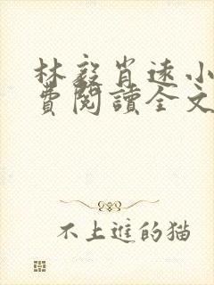 林毅肖远小说免费阅读全文最新章节