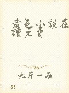 黄色小说在线阅读免费