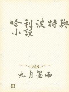 哈利波特与密室小说