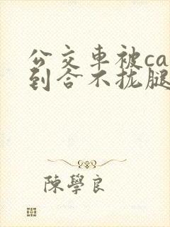 公交车被cao到合不拢腿视频