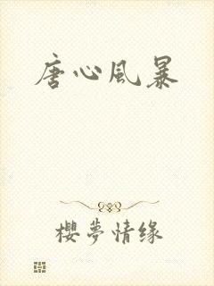 唐心风暴