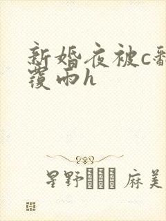新婚夜被c翻云覆雨h