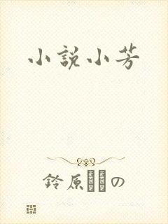 小说小芳