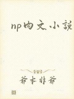 np肉文小说