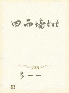 四面墙txt