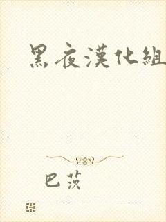 黑夜汉化组