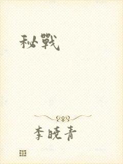 秘战