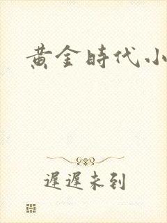 黄金时代小说