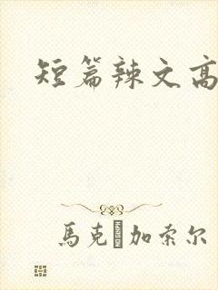 短篇辣文高h