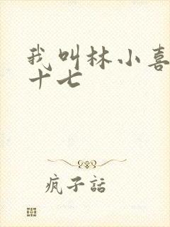 我叫林小喜今年十七
