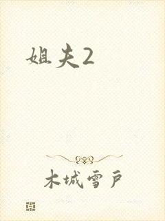 姐夫2