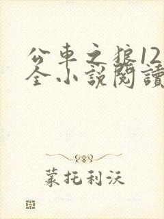 公车之狼12集全小说阅读