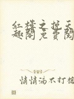 红楼之挽天倾笔趣阁免费阅读