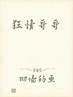 狂情哥哥