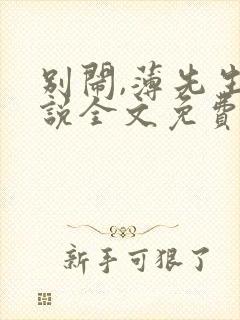 别闹,薄先生小说全文免费阅读