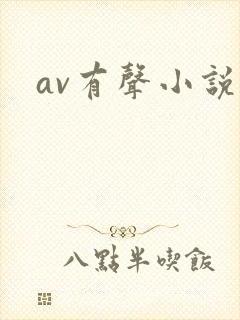av有声小说