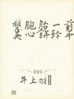 双胞胎一前一后夹心饼干年下