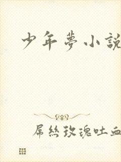 少年梦小说