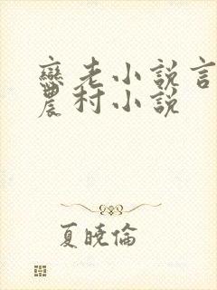 恋老小说言情网农村小说