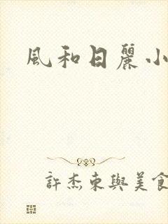 风和日丽小说