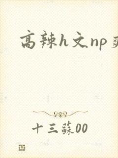 高辣h文np爽