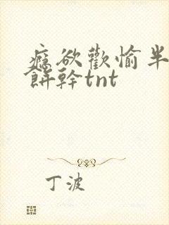 瘾欲欢愉半块小饼干tnt