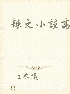 辣文小说高h