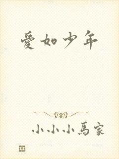 爱如少年