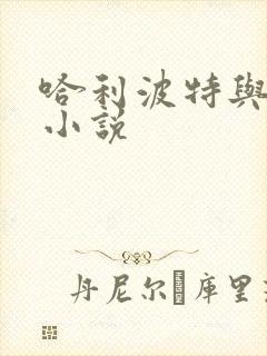 哈利波特与密室小说