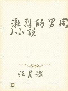 激烈的男同(h)小说