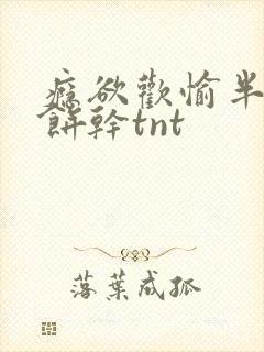 瘾欲欢愉半块小饼干tnt