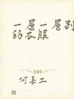 一层一层剥开我的衣服