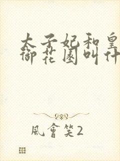 太子妃和皇帝在御花园叫什么小说