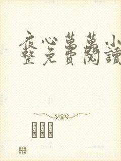 夜心万万小说完整免费阅读全文