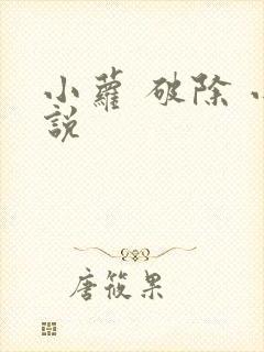 小萝 破除 小说