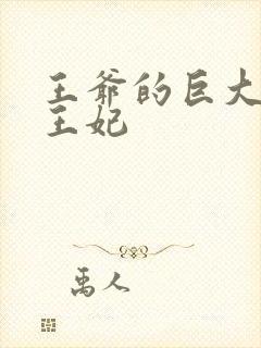 王爷的巨大进入王妃